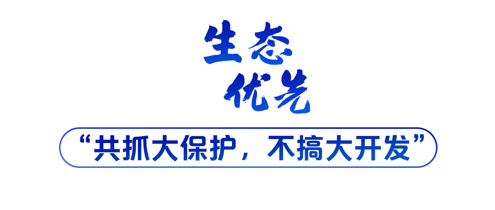 學(xué)習(xí)關(guān)鍵詞丨聽，長江經(jīng)濟(jì)帶高質(zhì)量發(fā)展“協(xié)奏曲”
