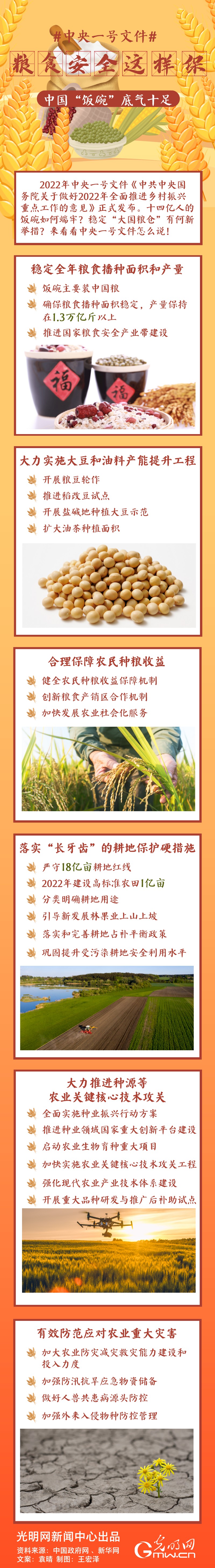 中央一號(hào)文件｜糧食安全這樣保，中國(guó)“飯碗”底氣十足