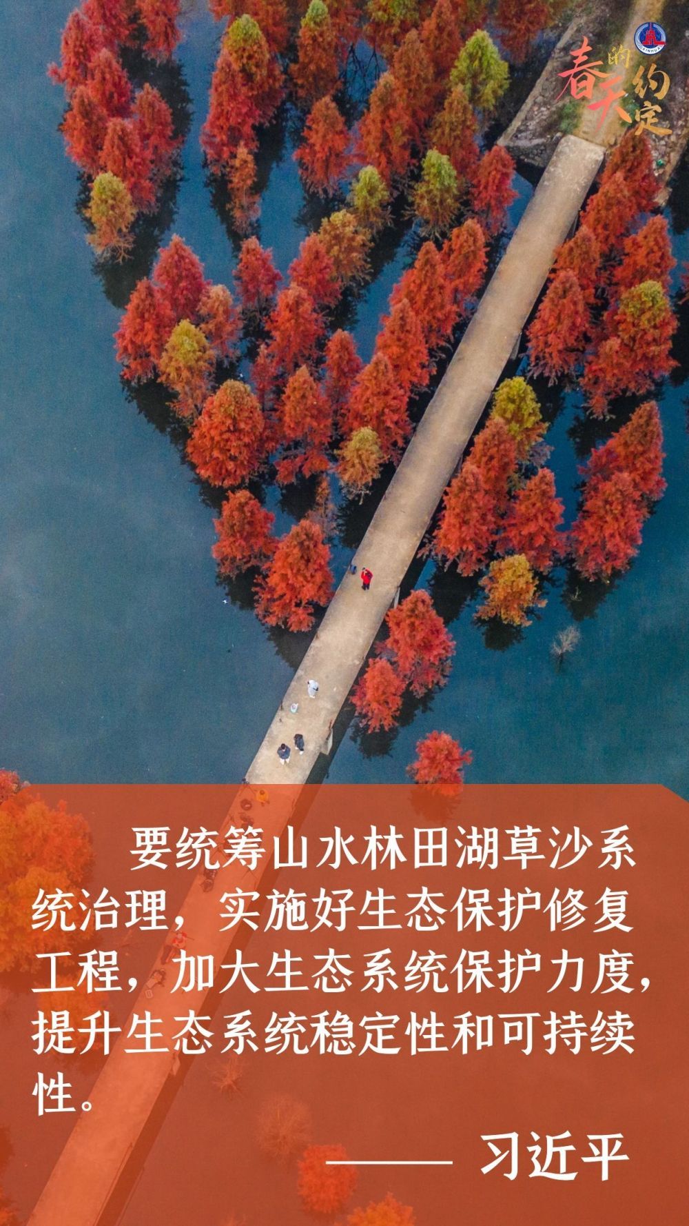 學習原聲｜春天的約定