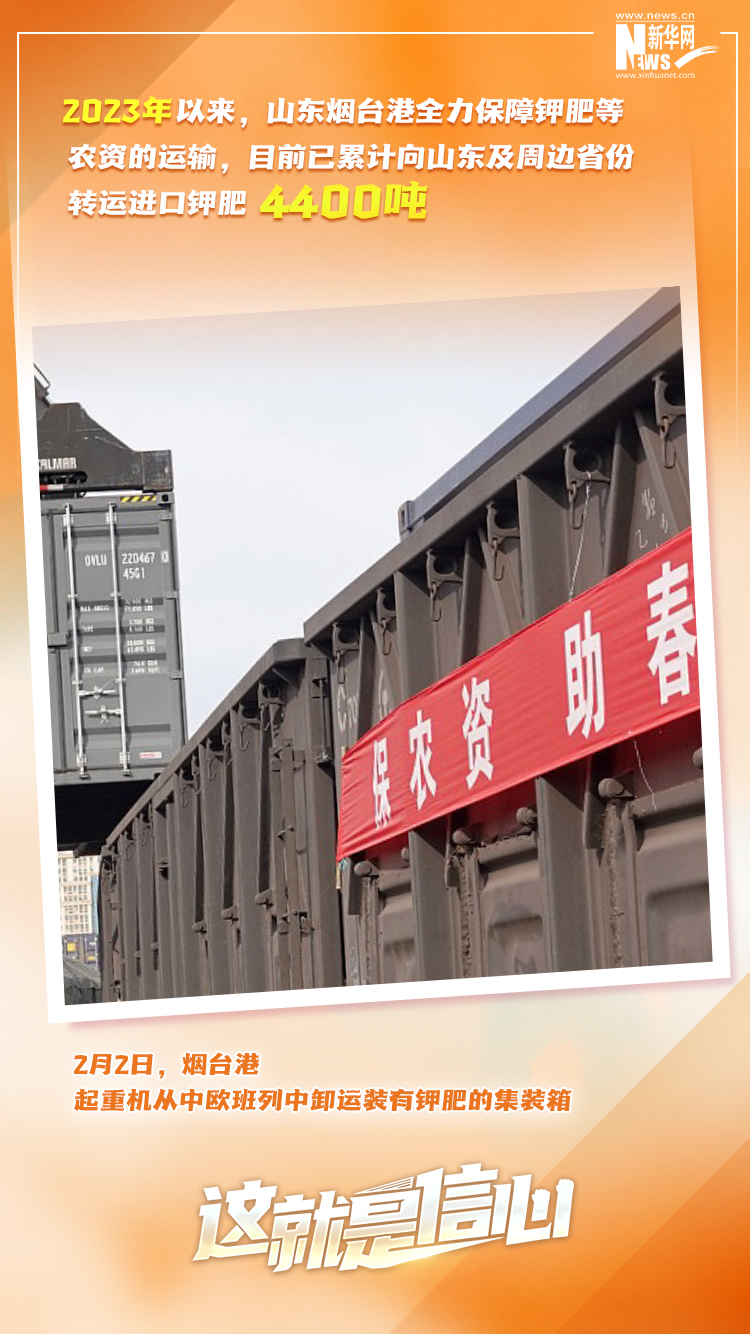 這就是信心｜實干爭春早，外貿樞紐貨運忙