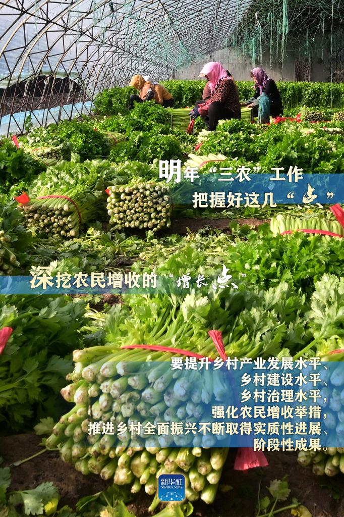 明年“三農(nóng)”工作，這幾個“點”要把握好