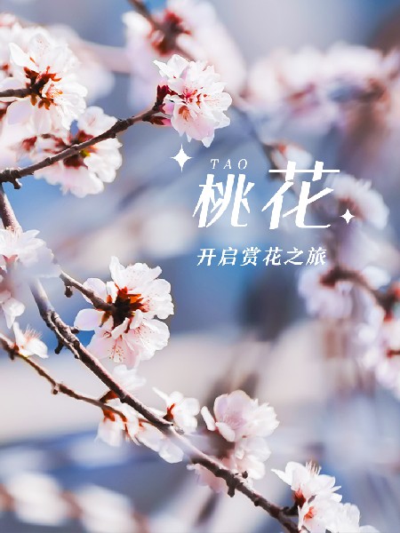 追花指南第三期！別等了 今天就去和桃花撞個(gè)滿懷