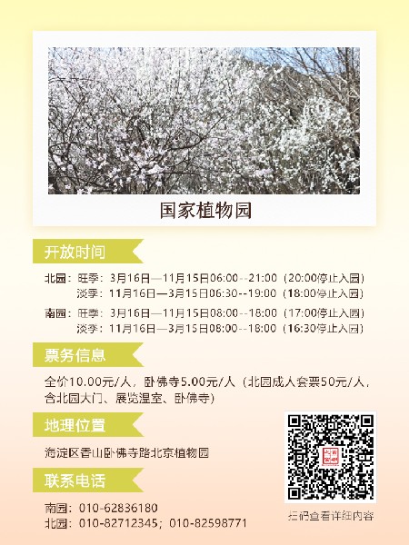 追花指南第六期！杏花雨 楊柳風(fēng) 北京最美的杏花在這里