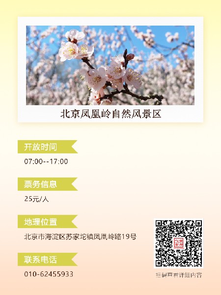 追花指南第六期！杏花雨 楊柳風(fēng) 北京最美的杏花在這里