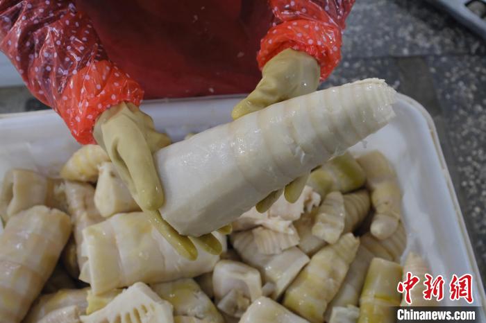 圖為整根腌制后撈出的酸筍?！⒖÷?攝