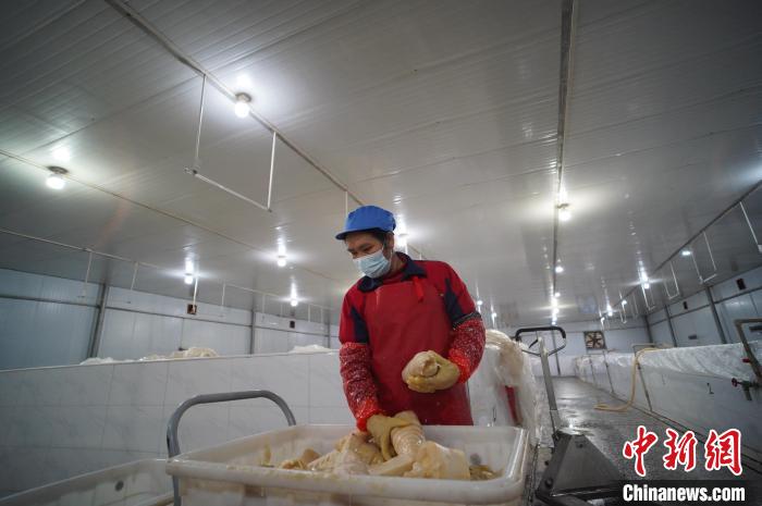 圖為一名工人正在查看酸筍腌制效果?！№f國(guó)政 攝