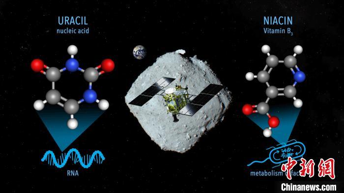 國際最新研究稱，近地小行星“龍宮”上發(fā)現(xiàn)尿嘧啶等核酸堿基