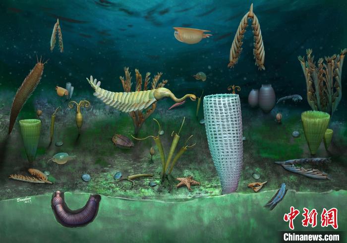 Castle Bank動物群藝術(shù)復原圖(Yang Dinghua繪制)?！∈┢樟指瘛ぷ匀?供圖