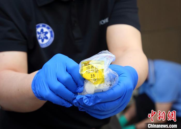 隨神舟十五號返回地面的空間科學實驗樣品?！≈锌圃嚎臻g應用中心 供圖