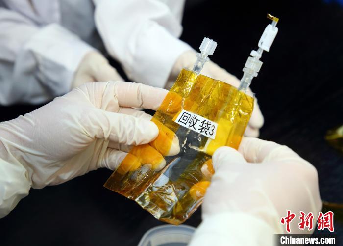 隨神舟十五號返回地面的空間科學實驗樣品?！≈锌圃嚎臻g應用中心 供圖