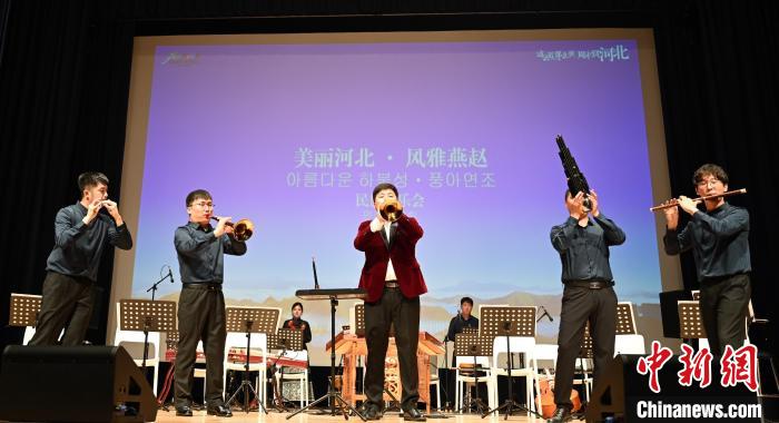 圖為音樂會現(xiàn)場?！∈谞栔袊幕行墓﹫D