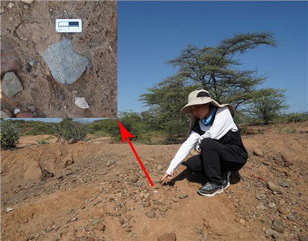 地層中的勒瓦婁哇石片。中肯聯(lián)合考古隊供圖