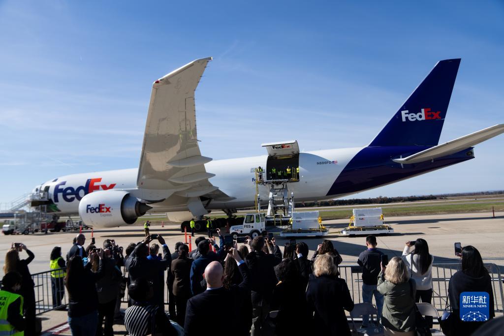 11月8日，在美國弗吉尼亞州的華盛頓杜勒斯國際機場，裝有大熊貓的特制“旅行包廂”準備運上專機。新華社記者劉杰攝