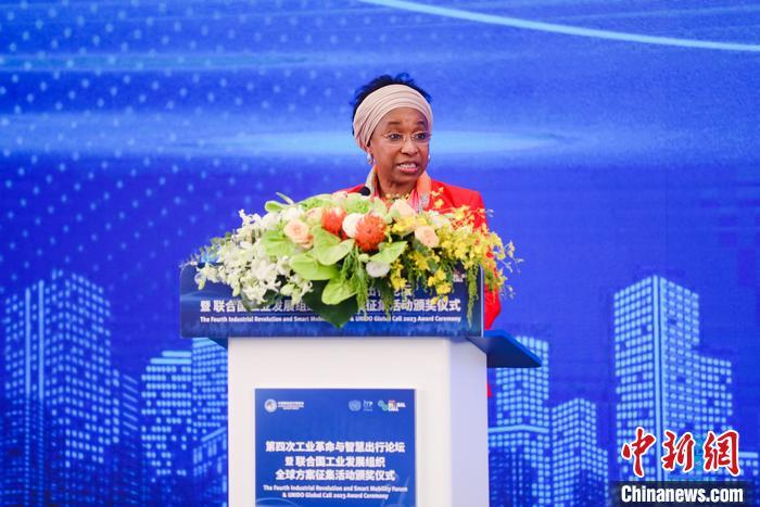 聯(lián)合國工業(yè)發(fā)展組織總干事代表兼執(zhí)行干事法圖 海達拉致辭。