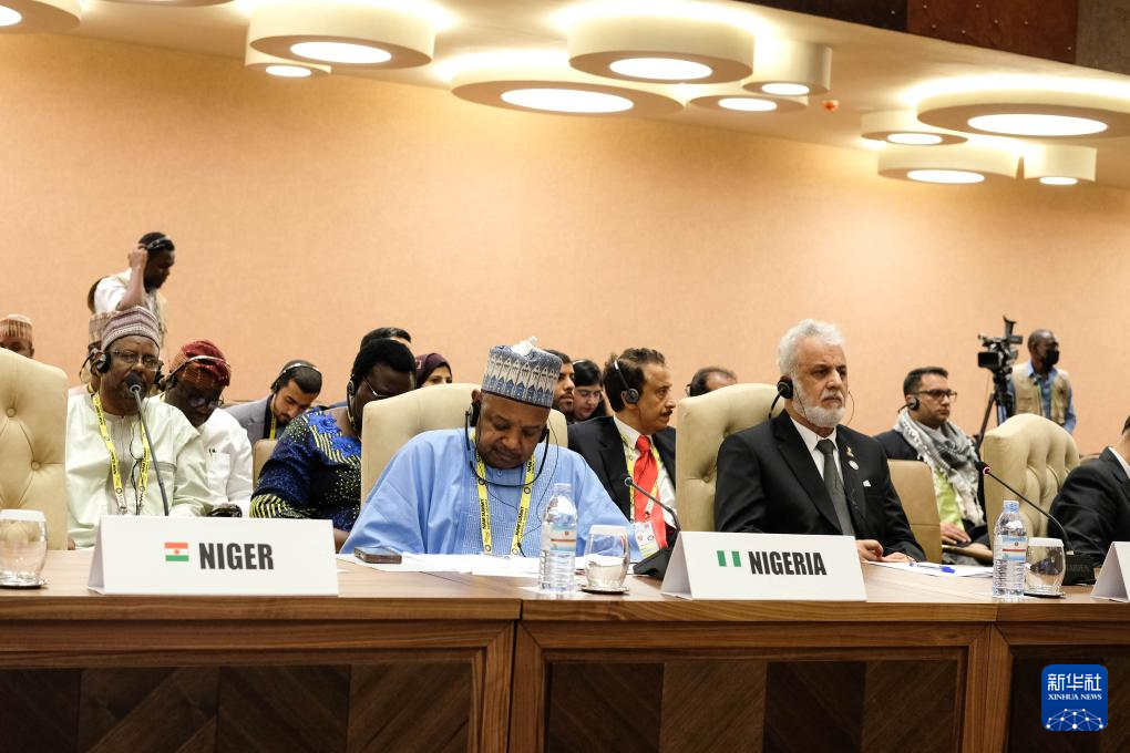 1月20日，與會代表出席在烏干達首都坎帕拉舉行的不結(jié)盟運動第19次峰會閉幕式。新華社發(fā)（阿佳拉·納瓦達攝）