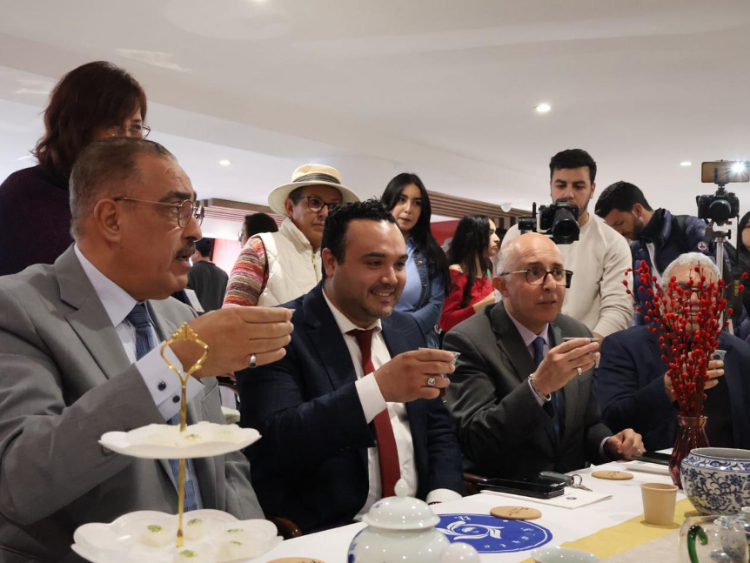 觀眾興致勃勃地體驗(yàn)茶藝。陳芷珊攝