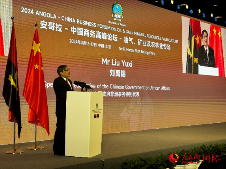 中國(guó)政府非洲事務(wù)特別代表劉禹錫。人民網(wǎng)記者 張榮攝