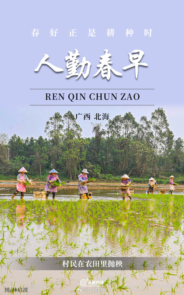 生機(jī)盎然！用課本封面打開春耕畫卷