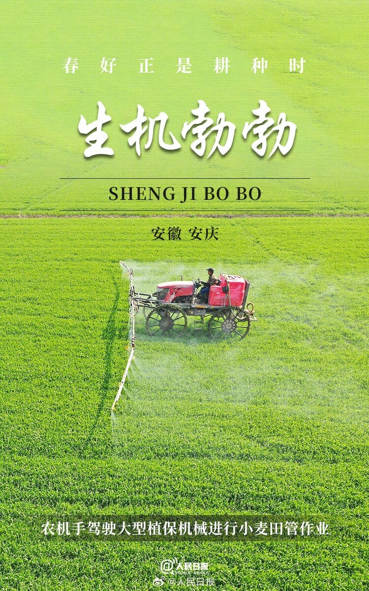 生機(jī)盎然！用課本封面打開春耕畫卷