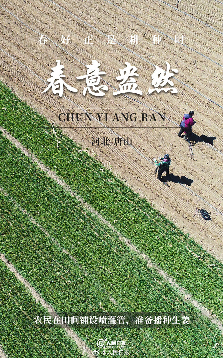 生機(jī)盎然！用課本封面打開春耕畫卷