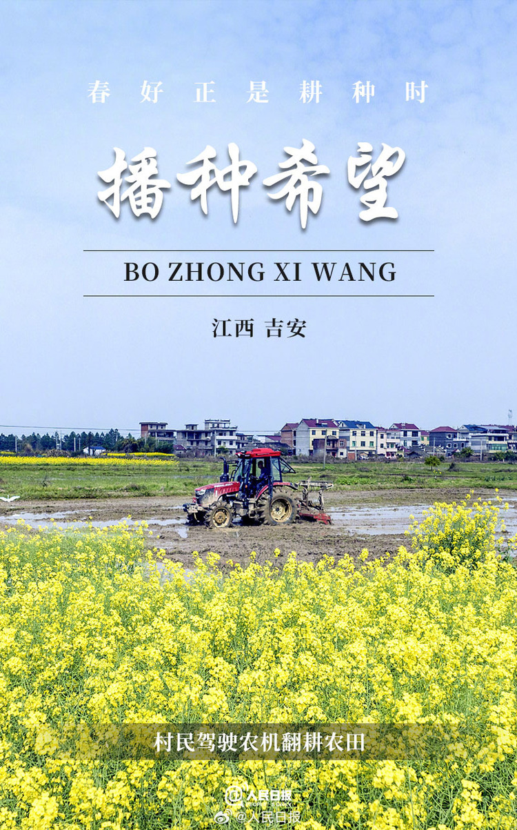 生機(jī)盎然！用課本封面打開春耕畫卷