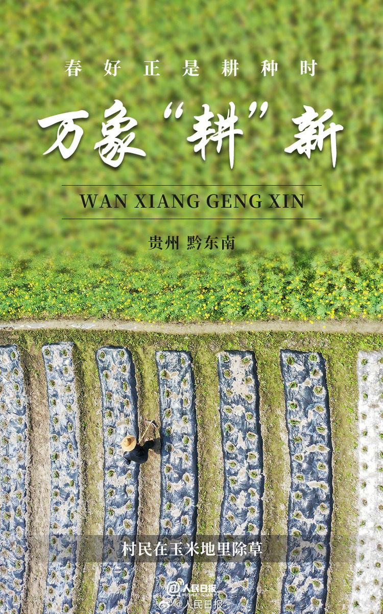 生機(jī)盎然！用課本封面打開春耕畫卷