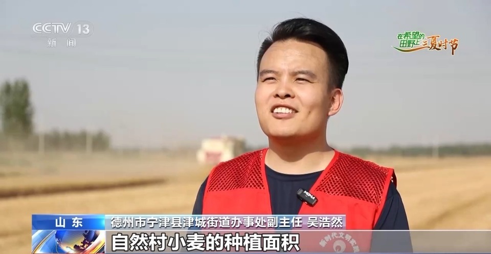 “三夏”生產(chǎn)思維導(dǎo)圖安排上了！還有政府大院等你來(lái)“曬”