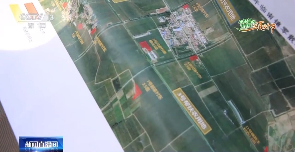 “三夏”生產(chǎn)思維導(dǎo)圖安排上了！還有政府大院等你來(lái)“曬”