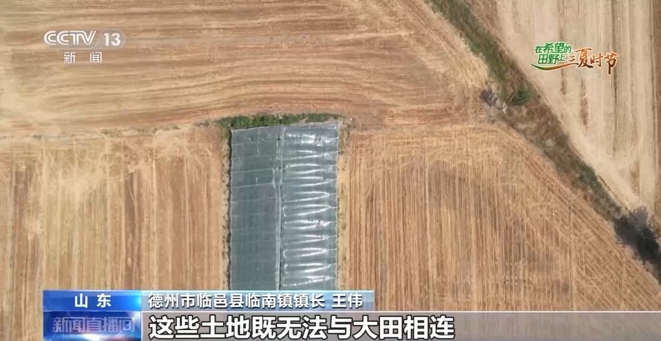 “三夏”生產(chǎn)思維導(dǎo)圖安排上了！還有政府大院等你來(lái)“曬”