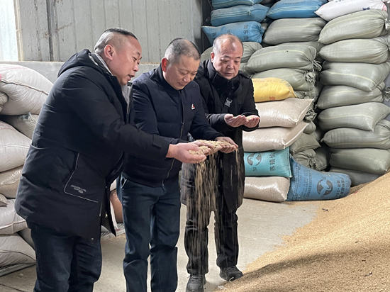 桃江種糧大戶與農(nóng)村農(nóng)業(yè)局技術人員正在查看春耕種子情況。受訪單位供圖