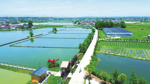 近年來，大成橋鎮(zhèn)堅(jiān)持加強(qiáng)黨對(duì)鄉(xiāng)村治理的集中統(tǒng)一領(lǐng)導(dǎo)，該鎮(zhèn)鄉(xiāng)村治理模式入選第二批全國(guó)鄉(xiāng)村治理典型案例。圖為美麗的大成橋鎮(zhèn)。（資料圖片）