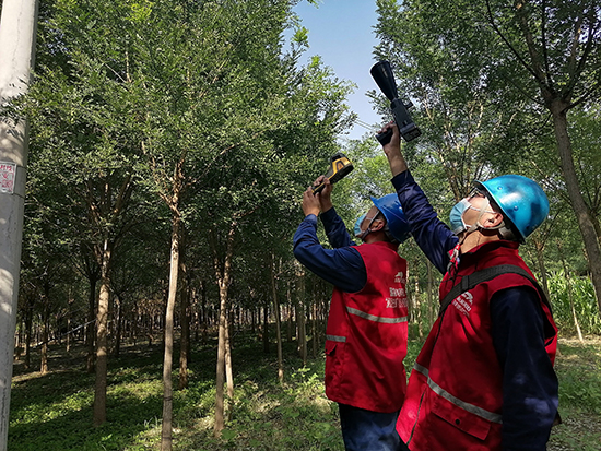 工作人員進行紅外測溫及超聲波局部放電檢測。 王亮攝