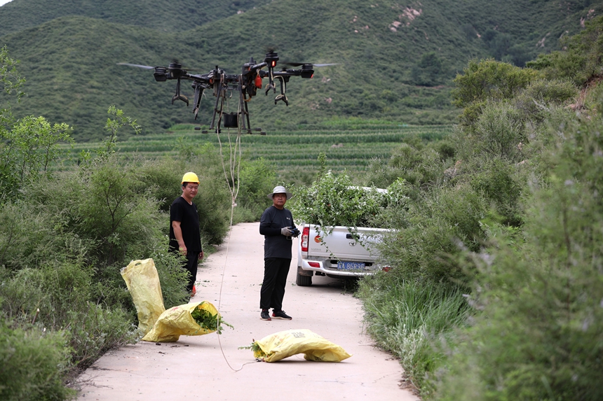 在石家莊市井陘縣吳家窯鄉(xiāng)長峪村荒山造林現(xiàn)場，一名無人機手操控?zé)o人機運輸樹苗。王保龍攝