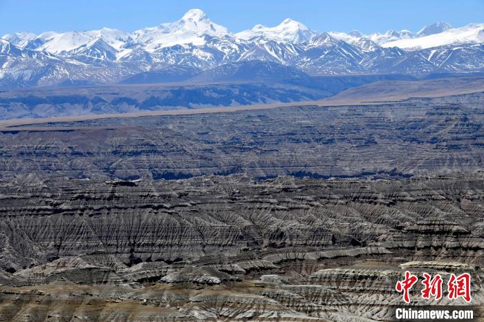 4月5日，西藏阿里札達(dá)土林?！±盍?攝