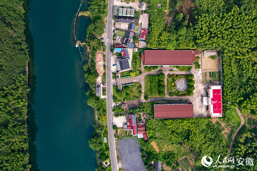 儲(chǔ)家灘民宿區(qū)。人民網(wǎng)記者 苗子健攝