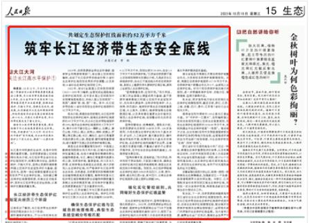 人民日報。截圖