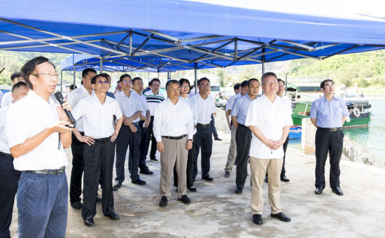 2019年6月21日上午，省長沈曉明率省政府班子成員在三亞鐵爐港調(diào)研項目規(guī)劃建設(shè)情況。海南日報記者 宋國強(qiáng) 攝