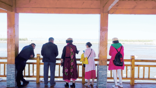 湟魚洄游奇觀吸引游人。