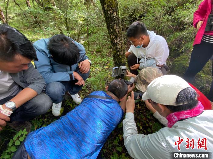 圖為訪客正在查看紅外相機(jī)中的拍攝畫(huà)面?!±罱瓕?攝