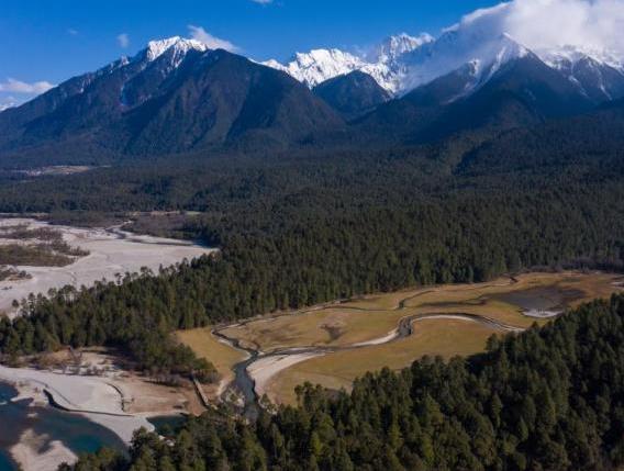 資料圖:西藏崗云杉林與遠(yuǎn)處的雪峰。 何蓬磊 攝