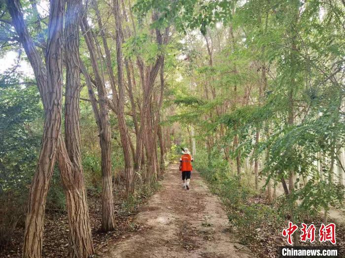 戈壁灘上的護(hù)林員：以前風(fēng)吹睜不開眼，現(xiàn)在滿眼皆綠色