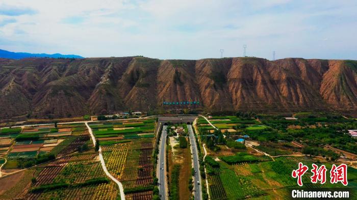 甘肅榆中造養(yǎng)結合十數(shù)年荒山改綠野生動物常“露面”