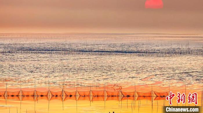 江蘇鹽城被譽(yù)為金灘銀蕩、魚米之鄉(xiāng)。　鹽城市委宣傳部供圖