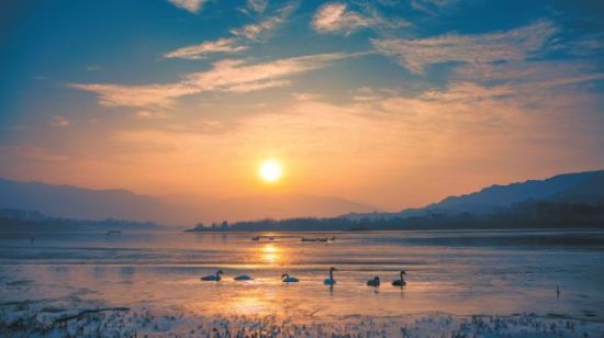 黃河冬之晨。