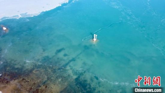 圖為冬日青海湖?！±罱瓕帯z