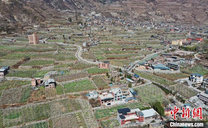 潔白的李花與村寨交相輝映，勾勒出一幅美麗的和諧生態(tài)畫卷?！『吻搴?攝