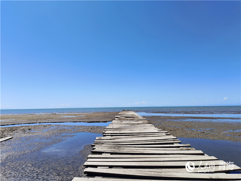   青海湖仙女灣。人民網(wǎng) 張莉萍攝