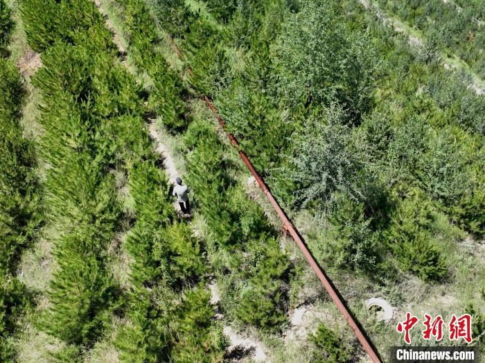 航拍建行青海省分行綠化區(qū)施工隊(duì)隊(duì)長(zhǎng)盧占祥正在巡護(hù)綠化區(qū)?！∑钤鲚?攝