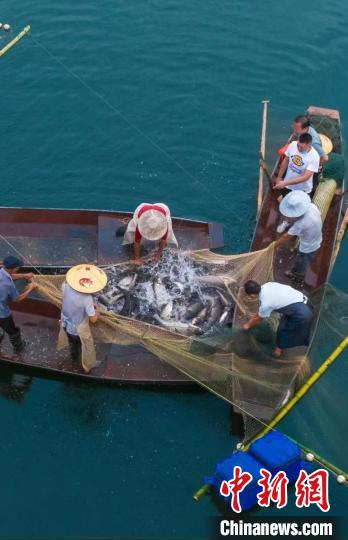 捕魚現(xiàn)場?！≈鬓k方供圖