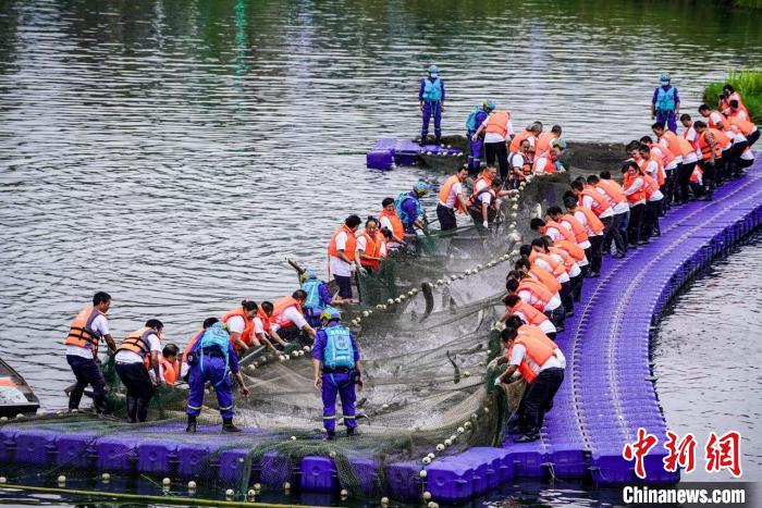 捕撈現(xiàn)場?！≈鬓k方供圖